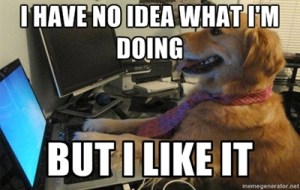 I-have-no-idea-what-Im-doing-dog